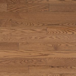 Chêne rouge, Antique