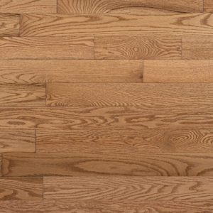 Chêne rouge, Beach / Plage