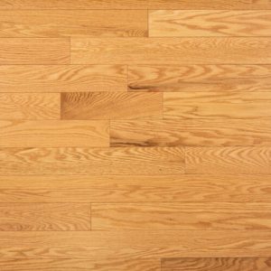 Chêne rouge, Classic