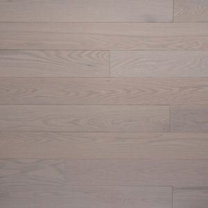 Red oak, Snow / Neige